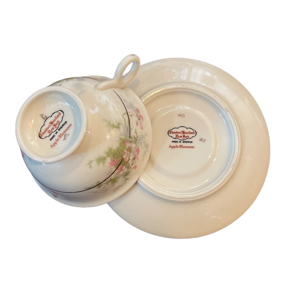 Vintage Apple Blossom - Footed Cup & Saucer Set by Haviland (New York) - Picture 4 of 5